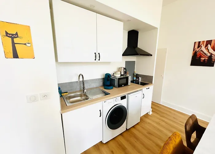 Le Gambetta, Lumineux Et Spacieux Auch